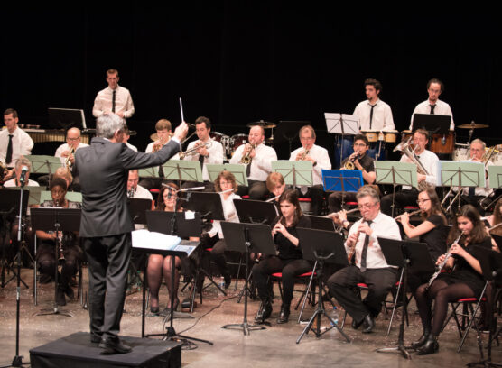 CONCERT DU NOUVEL AN DE L’ORCHESTRE D’HARMONIE D’ÉPINAY-SUR-SEINE